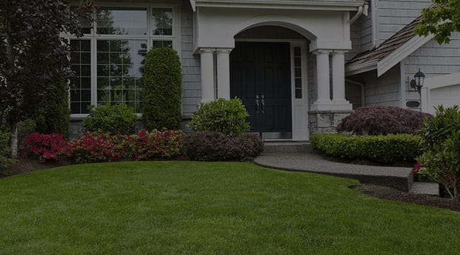 South Amboy Landscaping